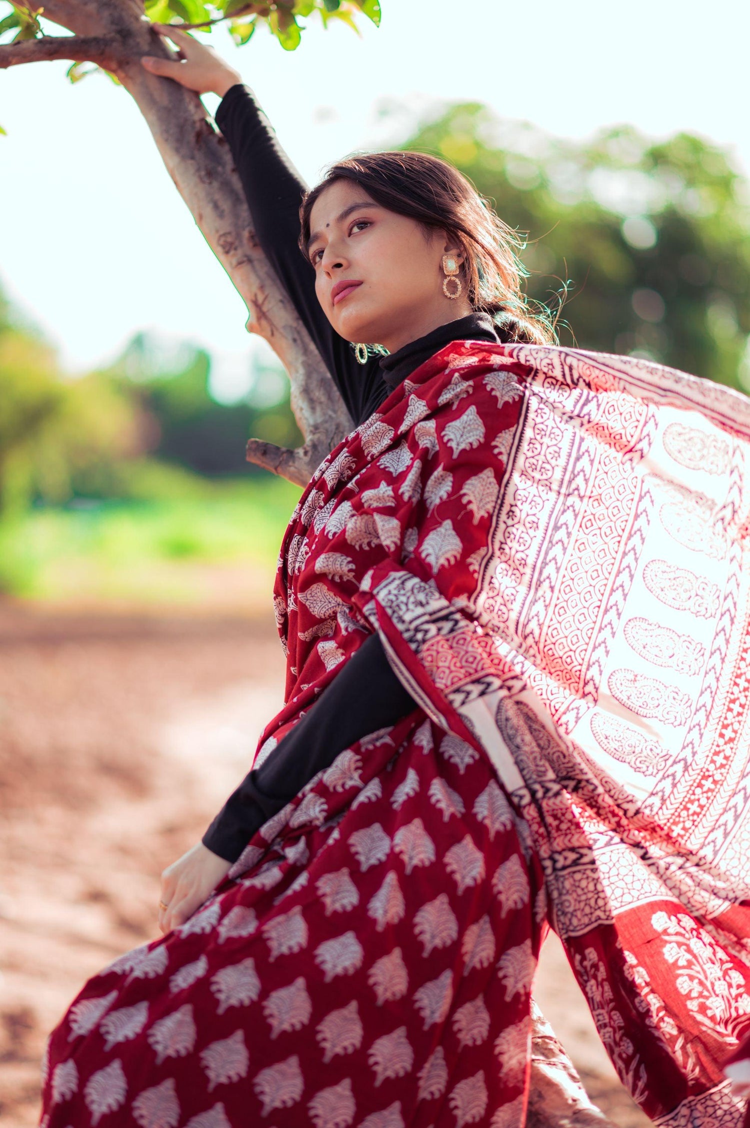 Natural dyed Bagh print sarees - Chitara