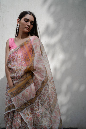 Kaisori Bagh Padma Kota  blockprinted silk cotton saree Kaisori