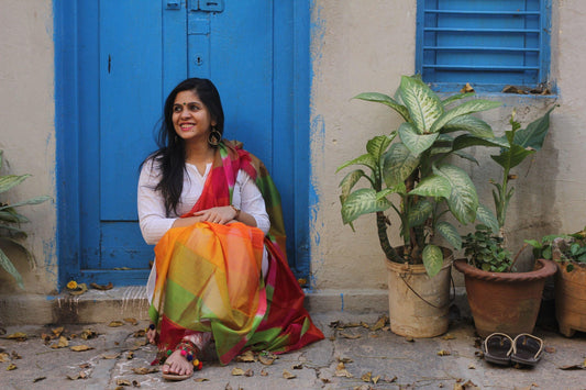 Kaisori Maheshwari  dupatta  - Muliticolor Dupatta Kaisori