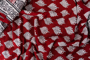 Kaisori Nandana Bagh handblockprinted cotton saree Kaisori