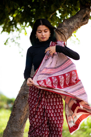 Kaisori Nandana - Leher Bagh handblockprinted cotton saree Kaisori