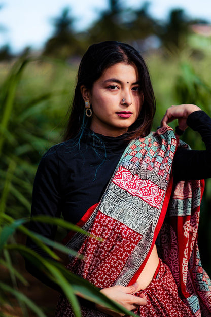 Kaisori Nandana - Leher Bagh handblockprinted cotton saree Kaisori