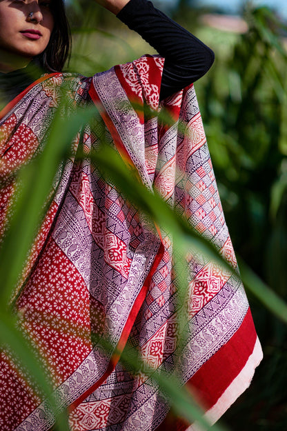 Kaisori Nandana - Leher Bagh handblockprinted cotton saree Kaisori
