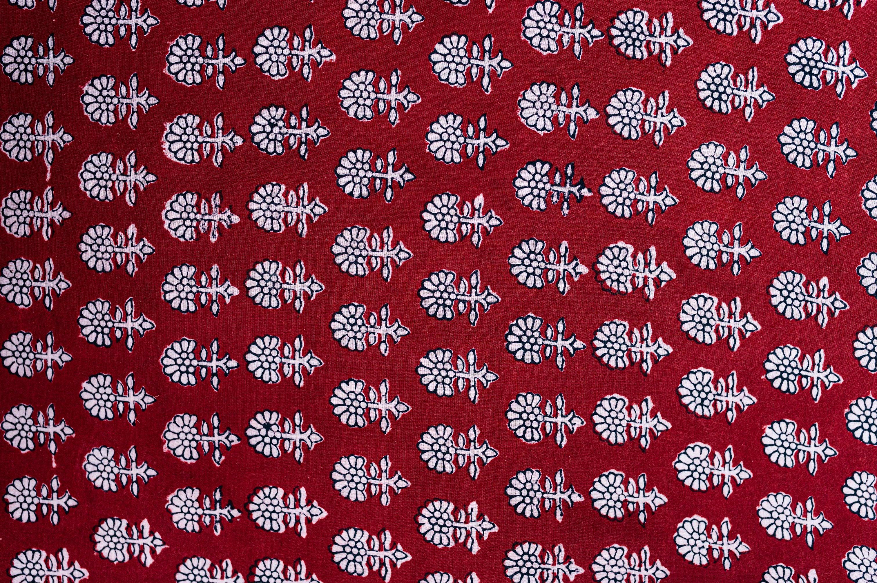Kaisori Nandana - Maithir Bagh handblockprinted cotton saree Kaisori