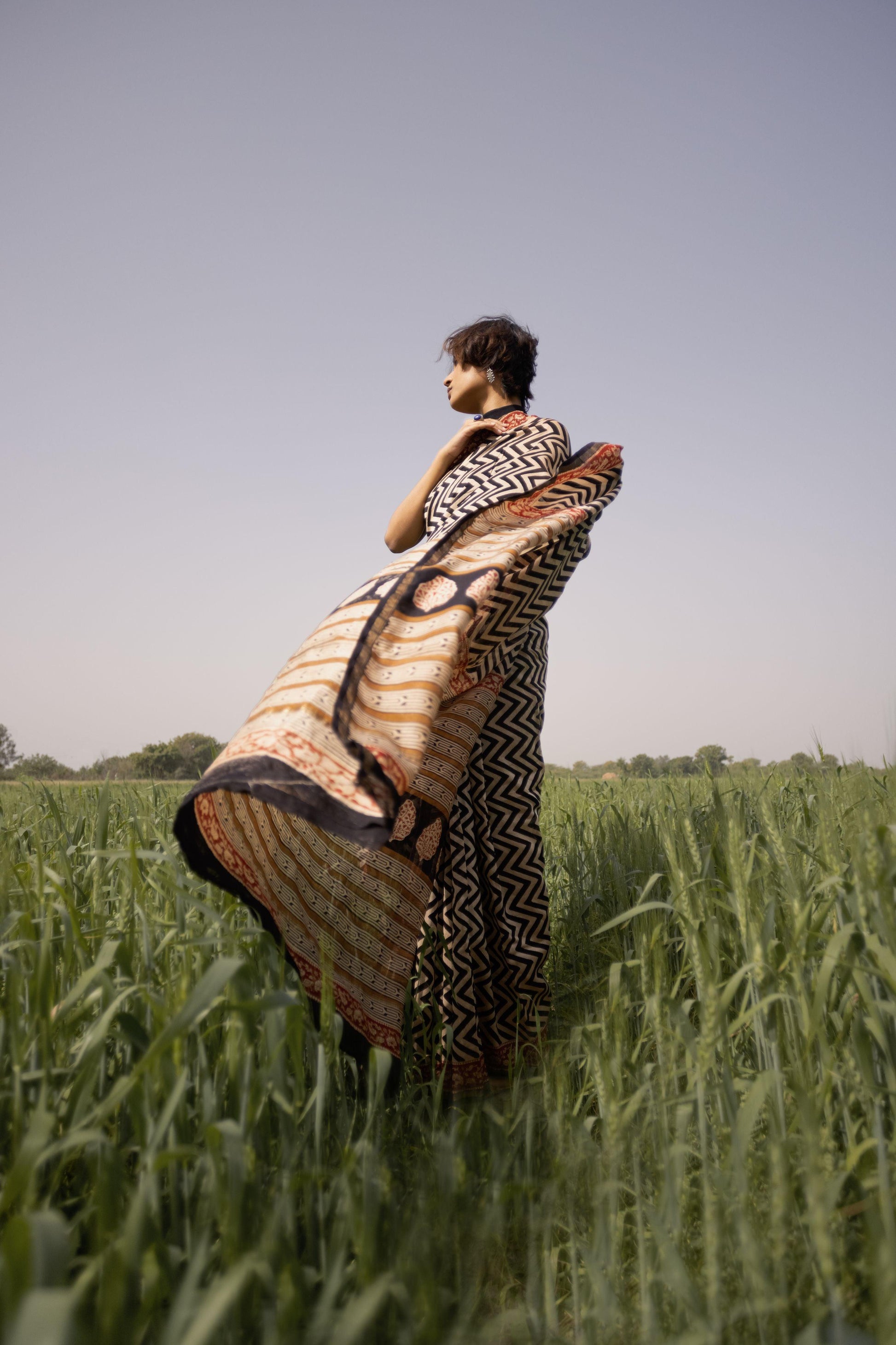 Roheda Chevron Syahi Begar Chanderi Saree Kaisori