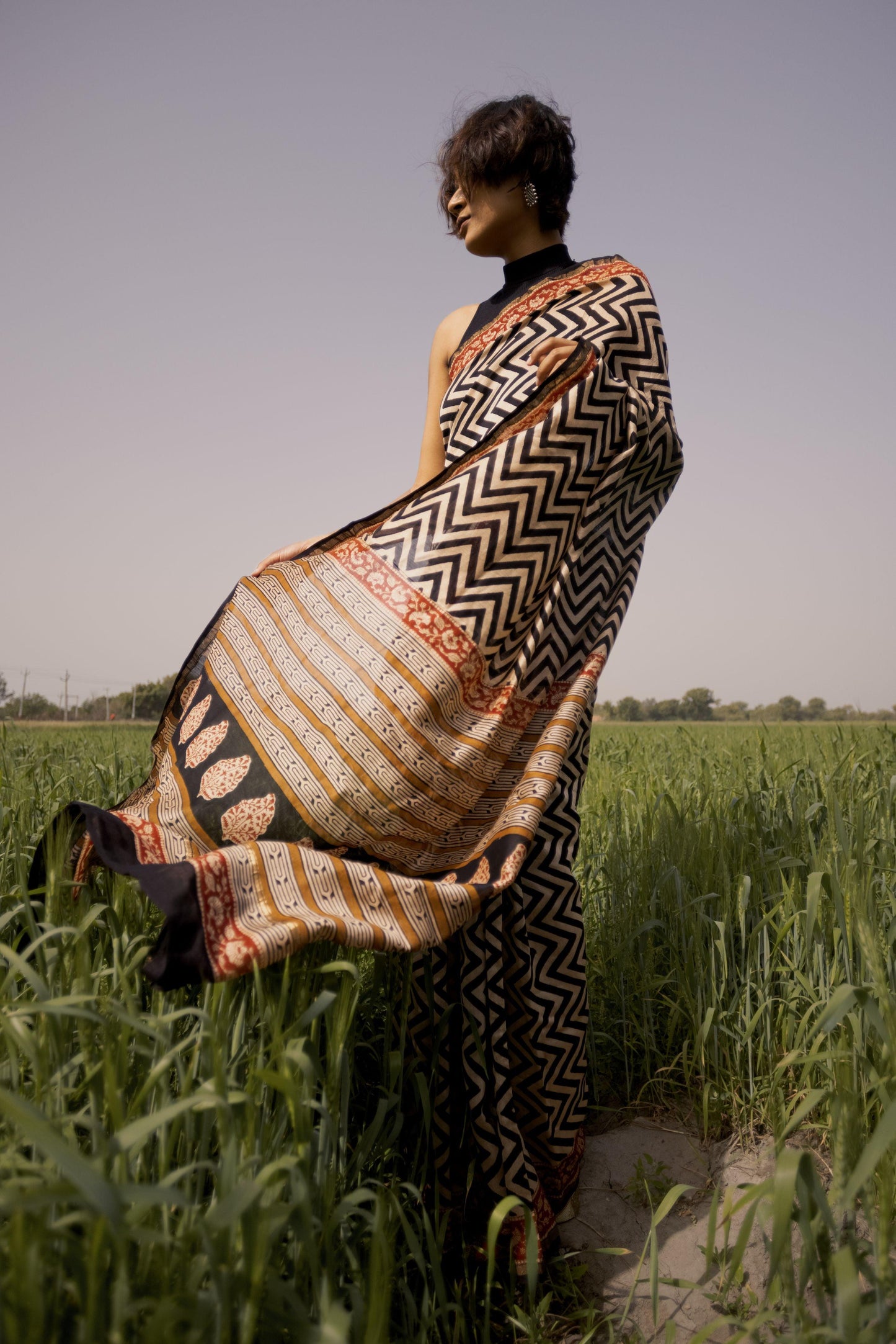 Roheda Chevron Syahi Begar Chanderi Saree Kaisori