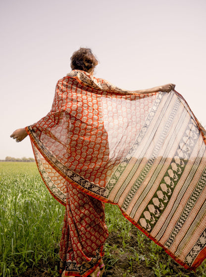 Roheda Gulab Syahi Begar Chanderi Saree Kaisori