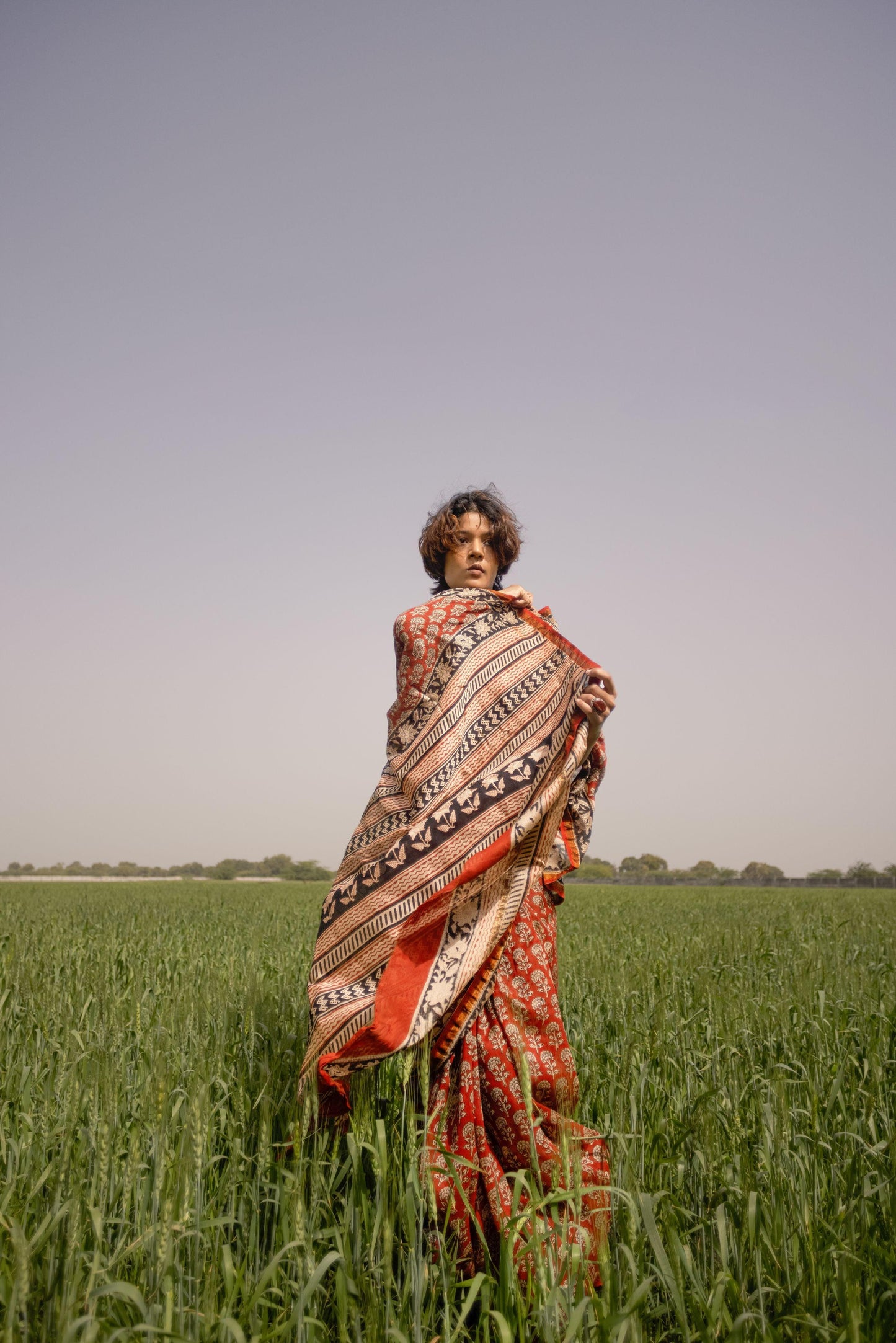 Roheda Gulab Syahi Begar Chanderi Saree Kaisori