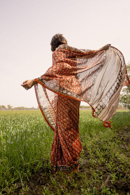 Roheda Gulab Syahi Begar Chanderi Saree Kaisori