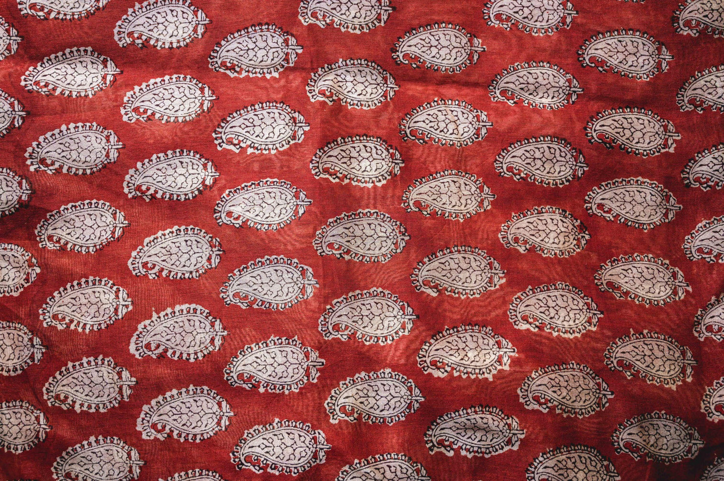 Roheda Kaisori Bagru Kairi block print saree Kaisori