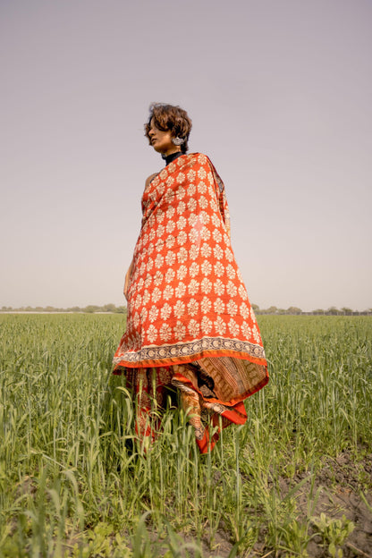 Roheda Mughal Syahi Begar Chanderi Saree Kaisori