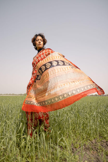 Roheda Mughal Syahi Begar Chanderi Saree Kaisori