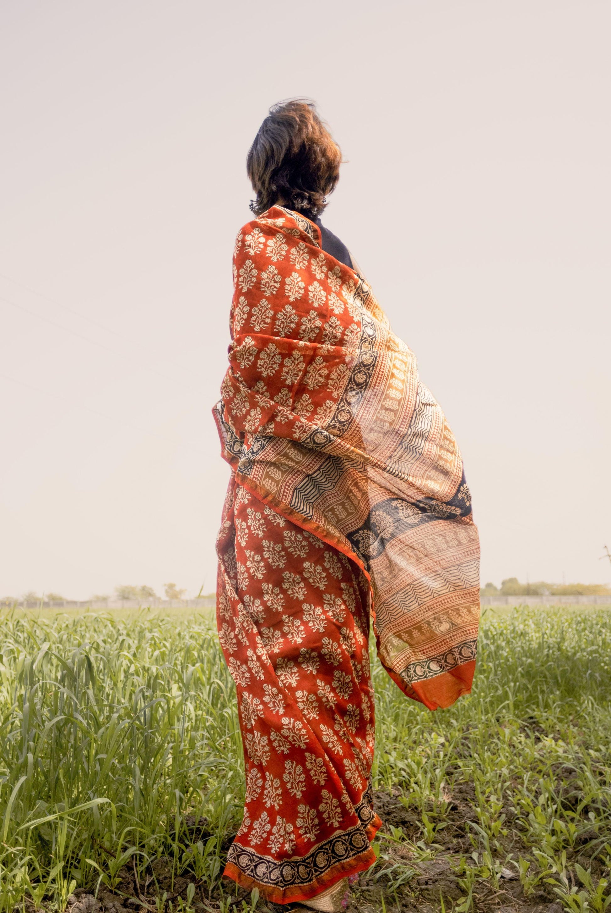 Roheda Mughal Syahi Begar Chanderi Saree Kaisori