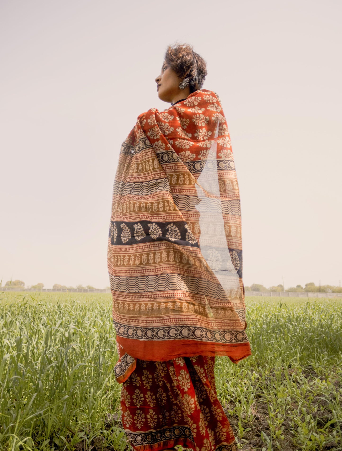 Roheda Mughal Syahi Begar Chanderi Saree Kaisori