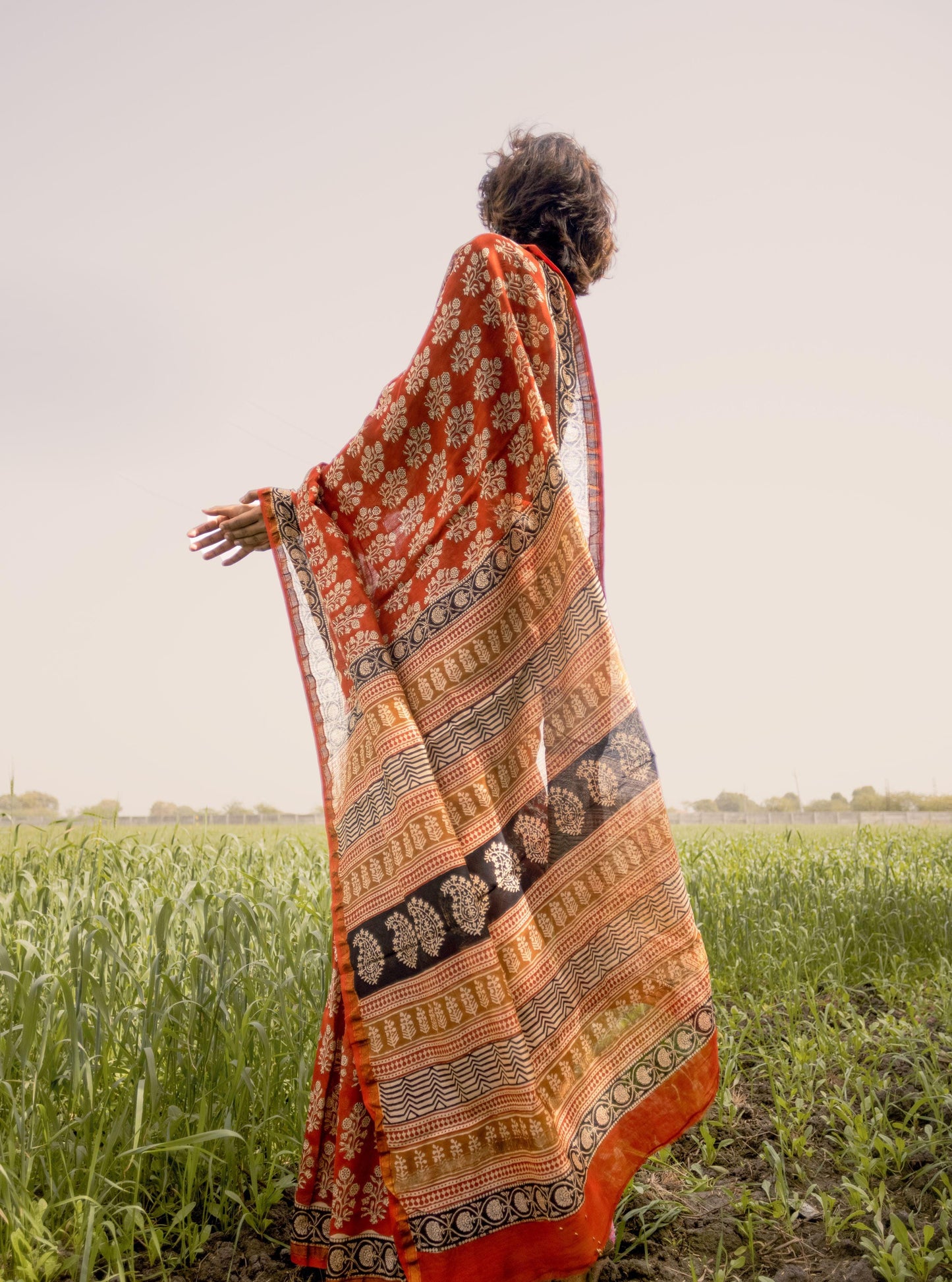 Roheda Mughal Syahi Begar Chanderi Saree Kaisori