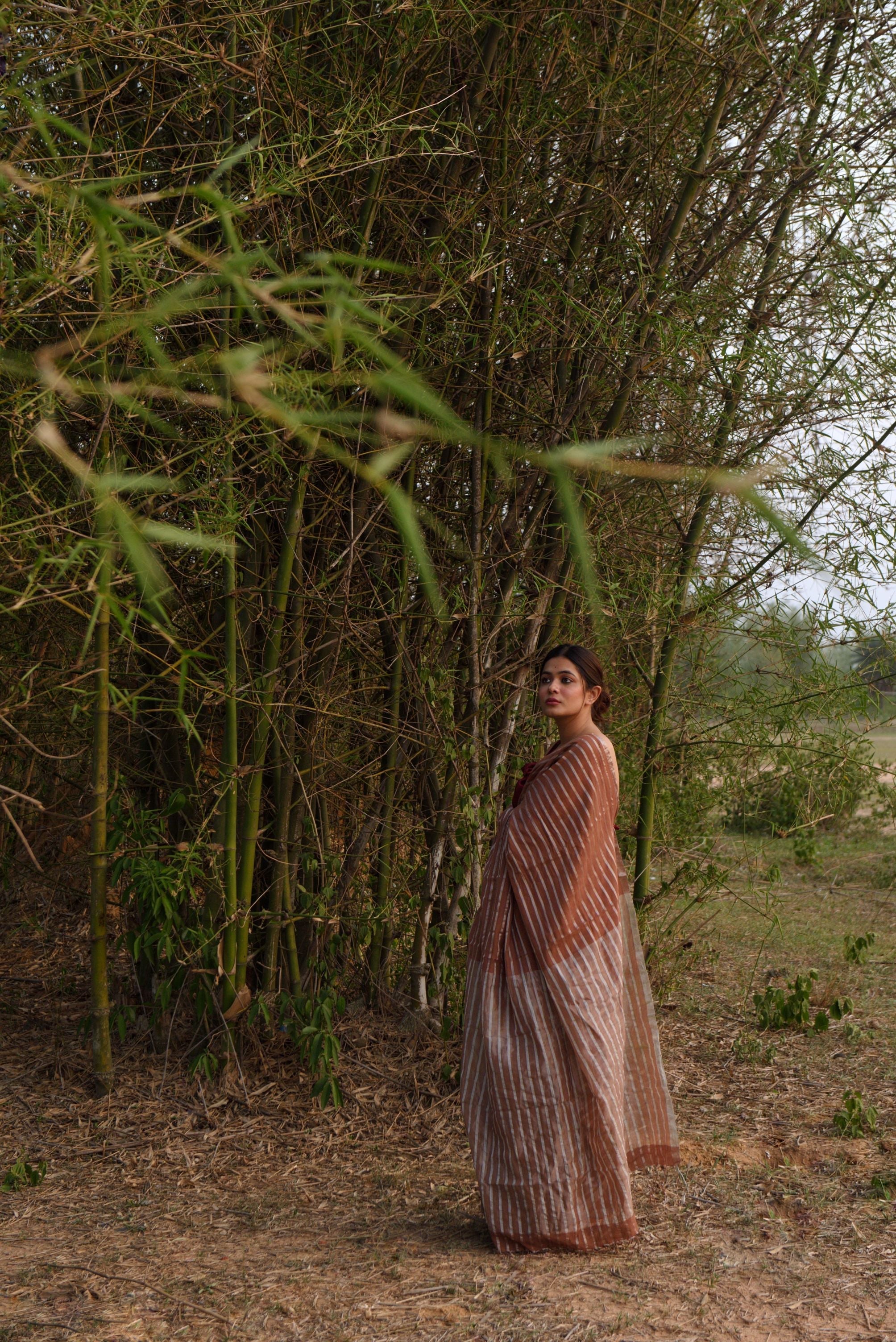 Sitara - Amber zari by cotton saree Kaisori