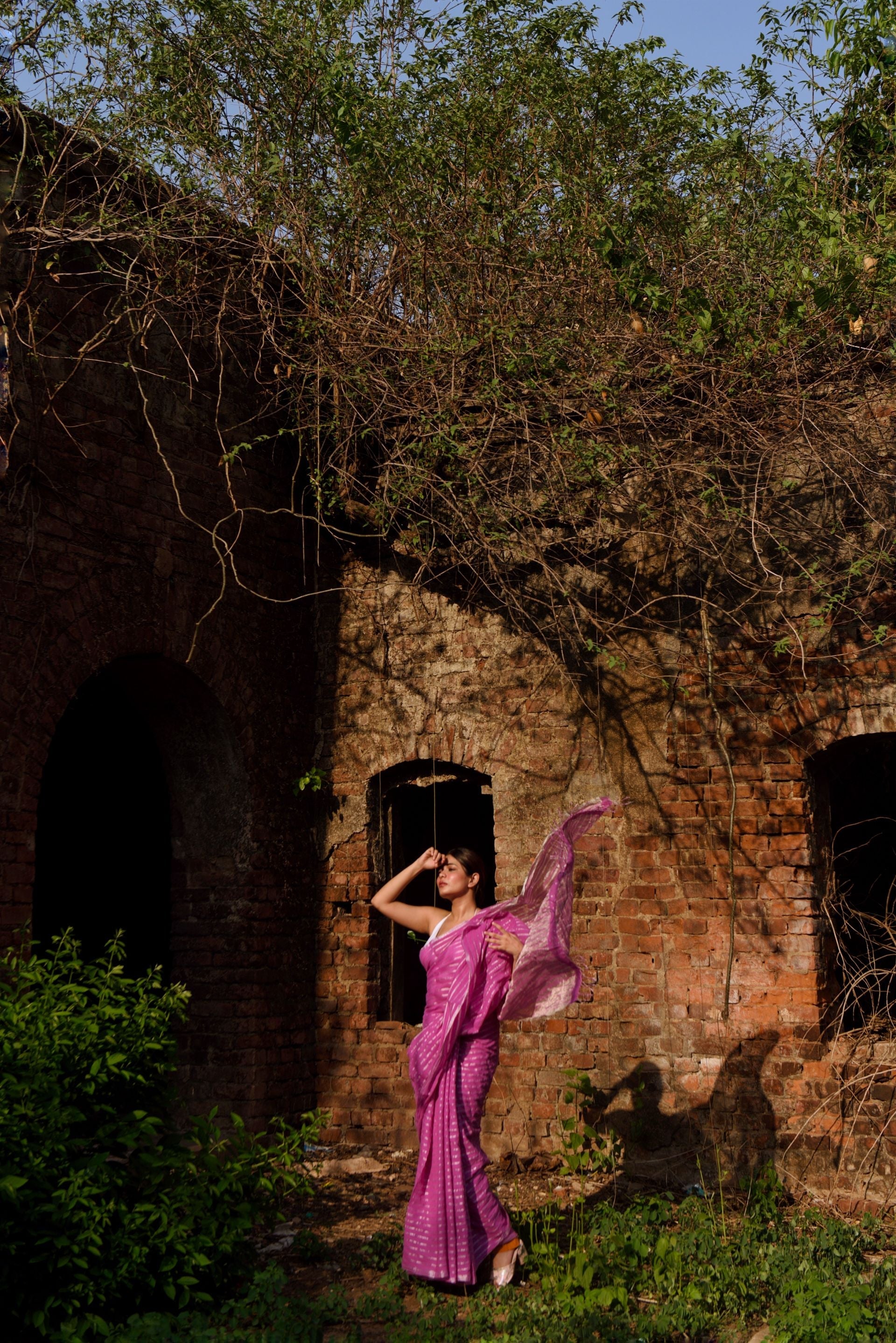 Sitara - Pink zari by cotton saree Kaisori