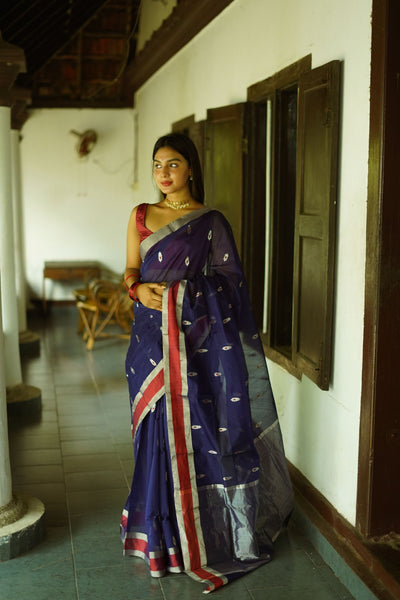 Royal Blue with Red Pallu Korvai Border Handloom Kanchi Silk Cotton – Looms  Legacy