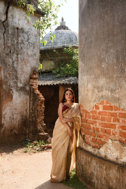 Utsav silk cotton saree - Dahlia Kaisori