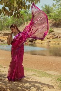 Utsav silk cotton saree - Gulabo Kaisori