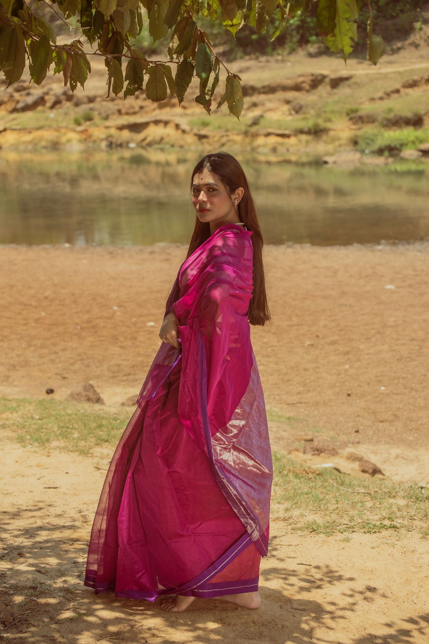 Utsav silk cotton saree - Gulabo Kaisori