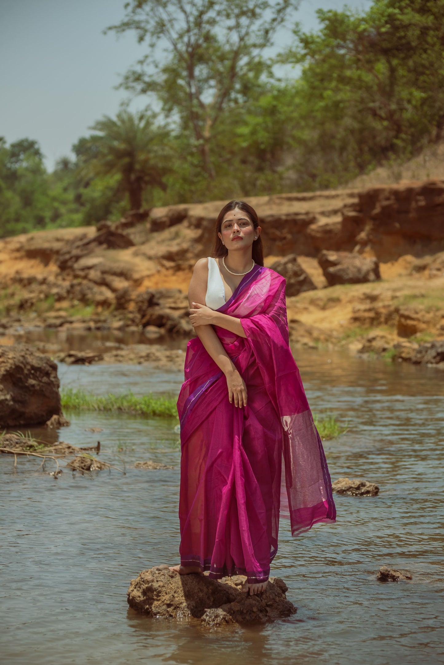 Utsav silk cotton saree - Gulabo Kaisori