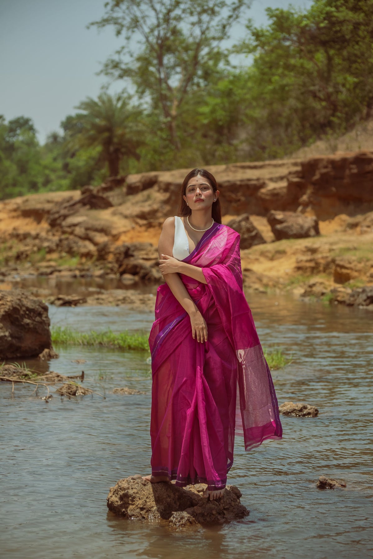 Utsav silk cotton saree - Gulabo Kaisori