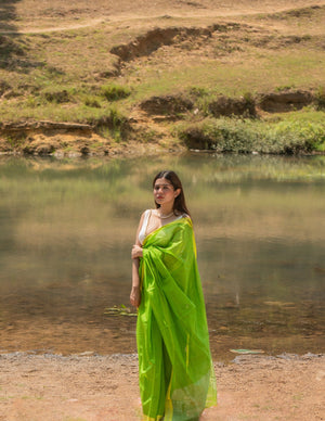 Utsav silk cotton saree - Shewanti Kaisori