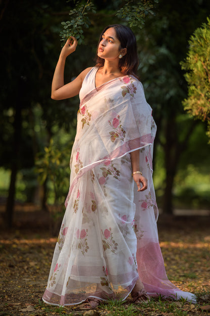 Evergreen printed Kota saree - Bagh- Vidya