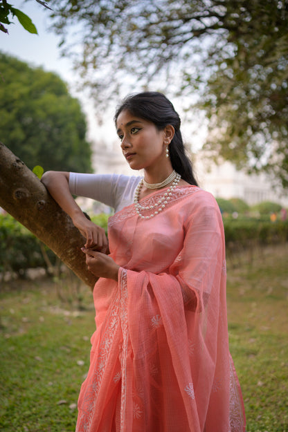 Kota Chikankari sarees - Meher - Anar