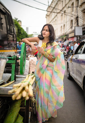 Kaisori Aira Leheriya icecream candy Kota hanblockprinted  saree