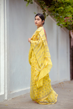 KaisorI Malhar Geru  Kota blockprinted cotton silk saree