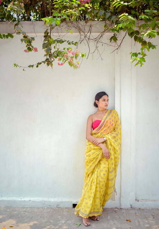 Natural dyed Dabu sarees - Malhar - Geru